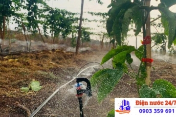 CẦN THỢ LẮP ĐẶT, SỬA MÁY BƠM PHUN SƯƠNG TẠI NHÀ 24/24 Ở HÓC MÔN GIÁ RẺ, CHẤT LƯỢNG 0903359691 (MR NHỰT)